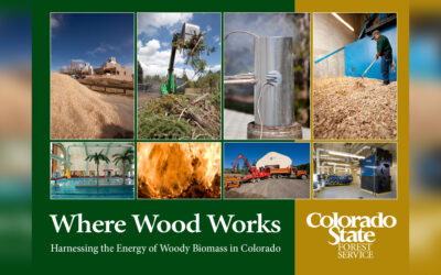 2011 Where Wood Works in Colorado